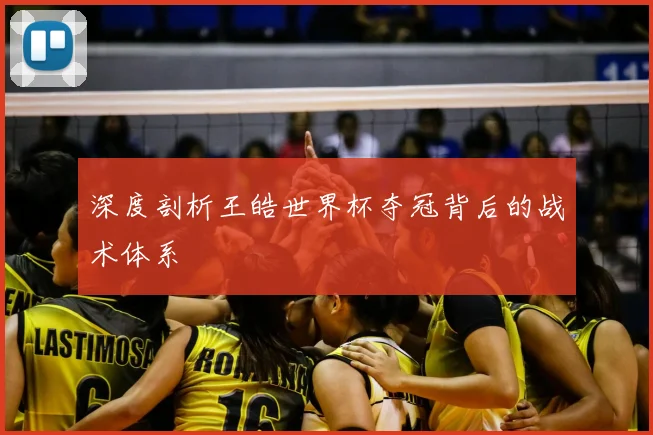 深度剖析王皓世界杯夺冠背后的战术体系