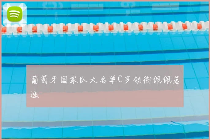 葡萄牙国家队大名单C罗领衔佩佩落选